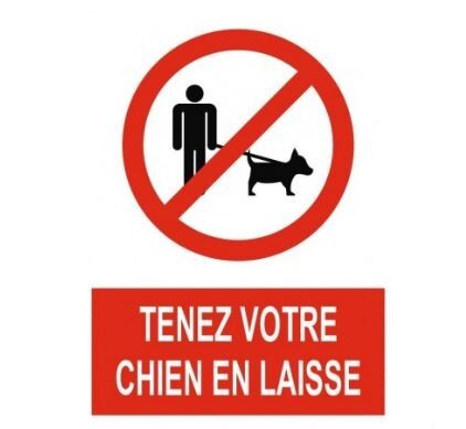 chien en laisse